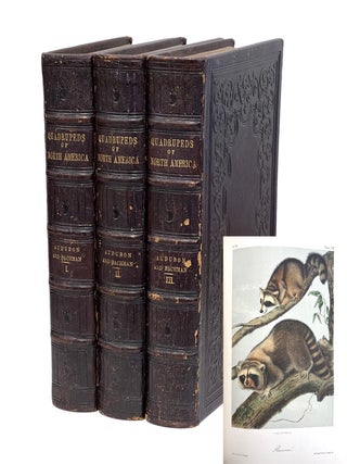 The Quadrupeds of North America. John James Audubon, Bachman Rev.